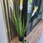 Blu Apartment Jugow